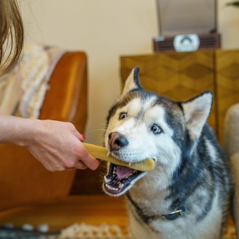 Mighty Paw Yak Cheese Chews