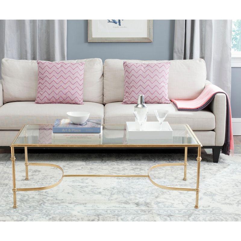 Elegant Transitional 50'' Gold Metal & Glass Rectangular Coffee Table