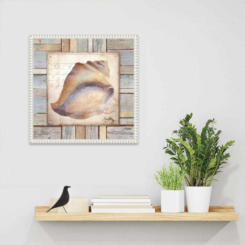 Amanti Art 16"x16" Beach Shell II by Elizabeth Medley: Coastal Decor, Nautical Lithograph, White Frame