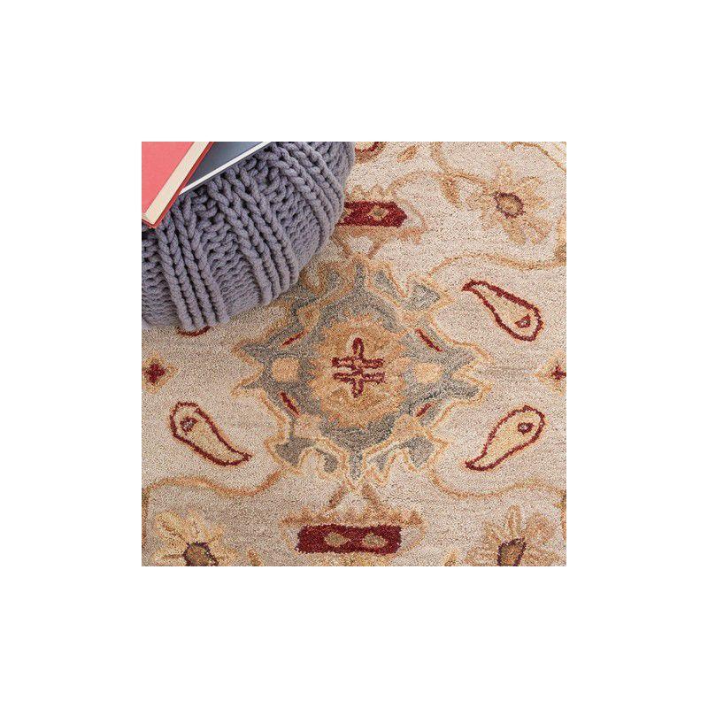 Anatolia AN543 Hand Tufted Area Rug  - Safavieh