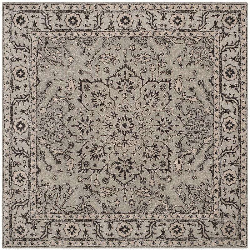 Antiquity AT58 Hand Tufted Area Rug - Grey/Beige - 6'x6' - Safavieh.