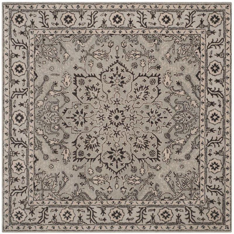 Antiquity AT58 Hand Tufted Area Rug  - Safavieh