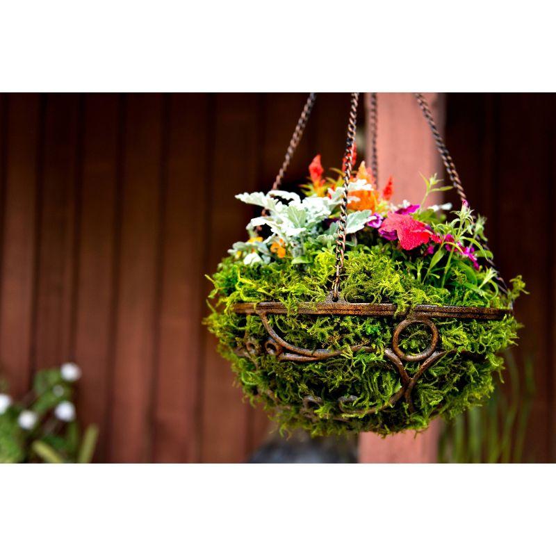 SuperMoss Preserved Forest Moss Decorative Filler: Basket Liner, Soil Topper, Craft Projects - Green