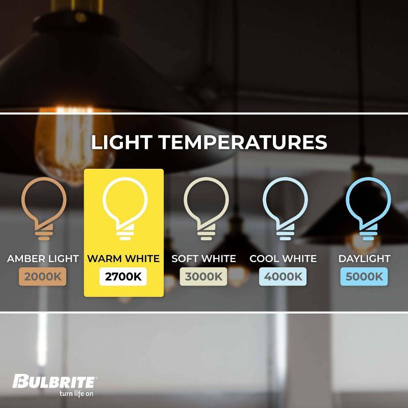 ST18 LED Filament Bulb (Set of 2) - Clear Glass / E26 / 8.5Watt