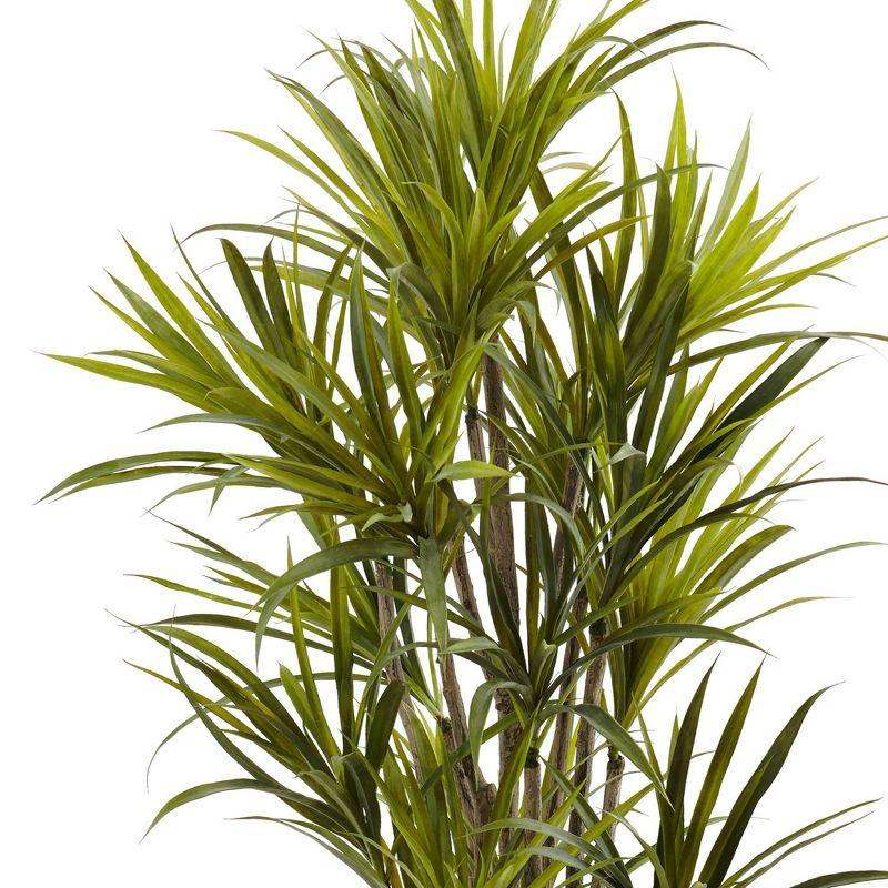 Tropical Dracaena Silk Tree in Plastic Pot - 63" High