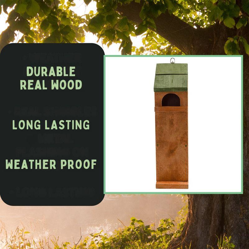 Uncle Dunkels Tree Frog House, Outdoor Tree Frog Habitat, Handmade in the USA
