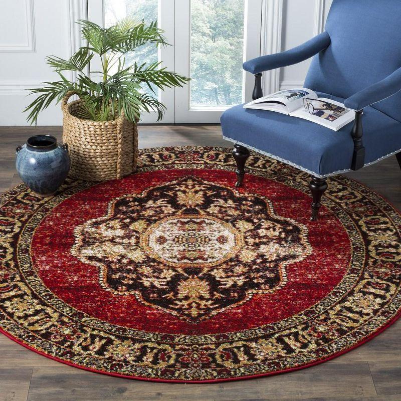 Vintage Hamadan VTH219 Power Loomed Area Rug  - Safavieh