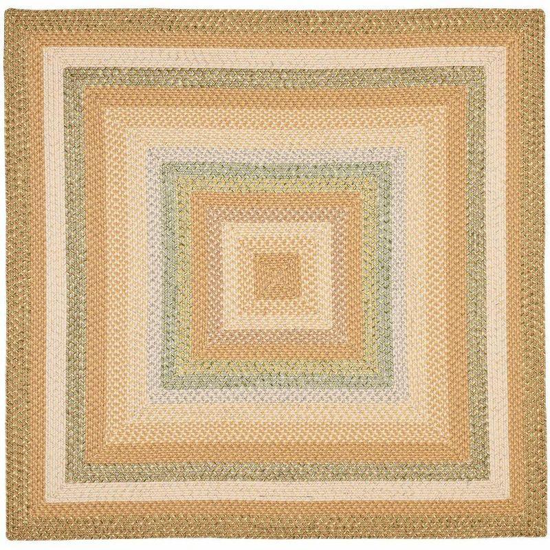 Braided BRD314 Hand Woven Area Rug - Tan/Multi - 6'x6' - Safavieh.
