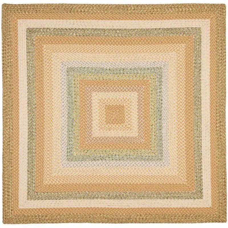 Braided BRD314 Hand Woven Area Rug  - Safavieh