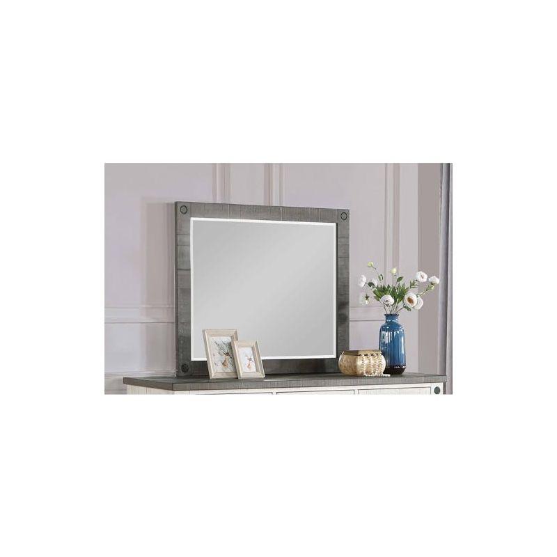 Coaster Home Furnishings Lilith Dresser and Mirror