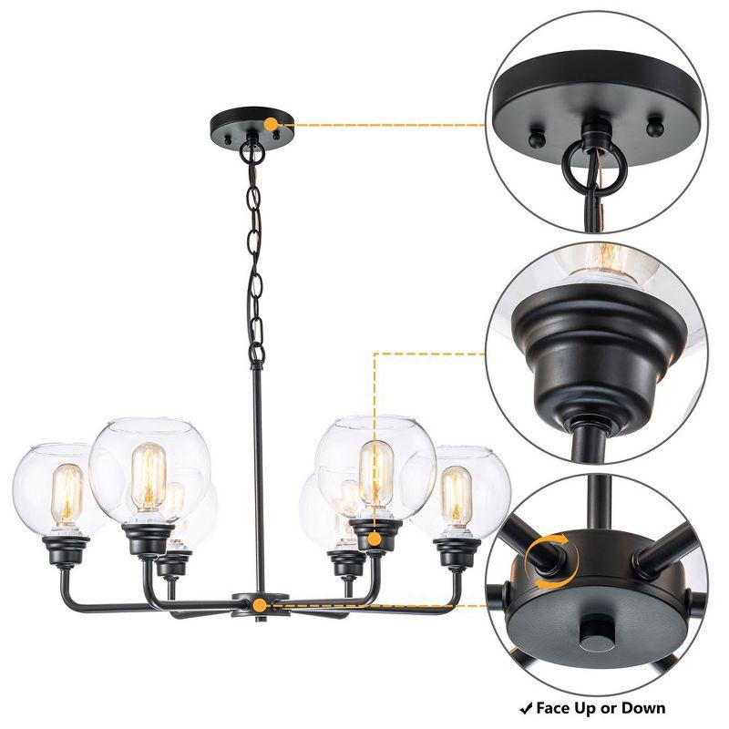 C Cattleya 6-Light Black Chandelier with Clear Glass Globes