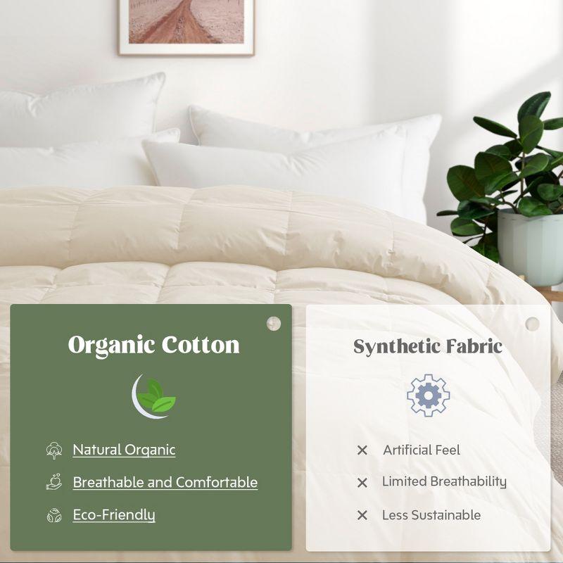 Puredown All Season Organic Cotton Down Comforter - 100% Natural, Chemical-Free, Medium Warmth Duvet Insert, Off-white, Full/Queen