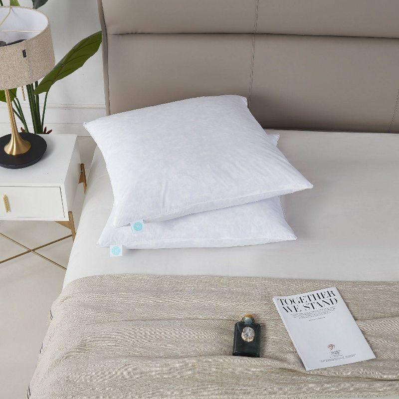 Euro 2pk Firm Feather Down Bed Pillow - Martha Stewart: 233 Thread Count, 100% Cotton, 26x26 Universal Sleeper