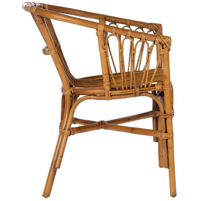 Adriana Rattan Accent Chair - Set of 2 - ACH6505 - Honey Brown Wash - Safavieh