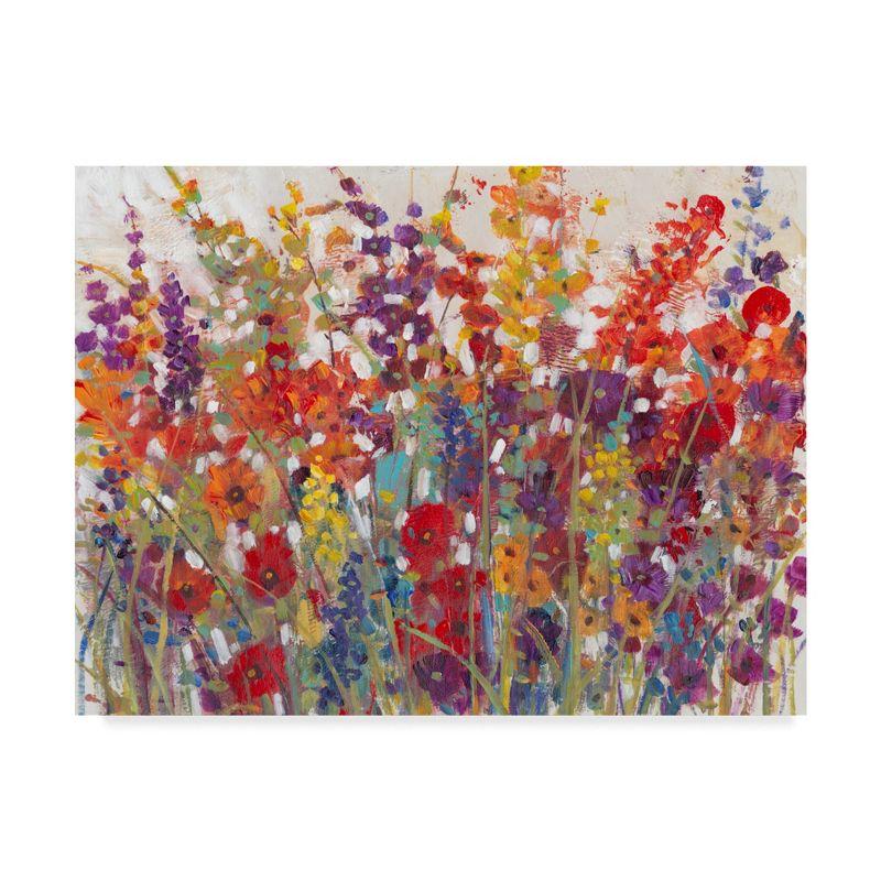 Trademark Fine Art -Tim Otoole 'Variety Of Flowers Ii' Canvas Art