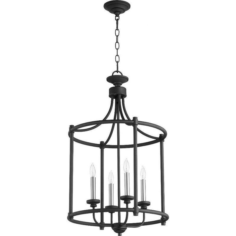 Noir Transitional 4-Light Indoor/Outdoor Large Cage Chandelier