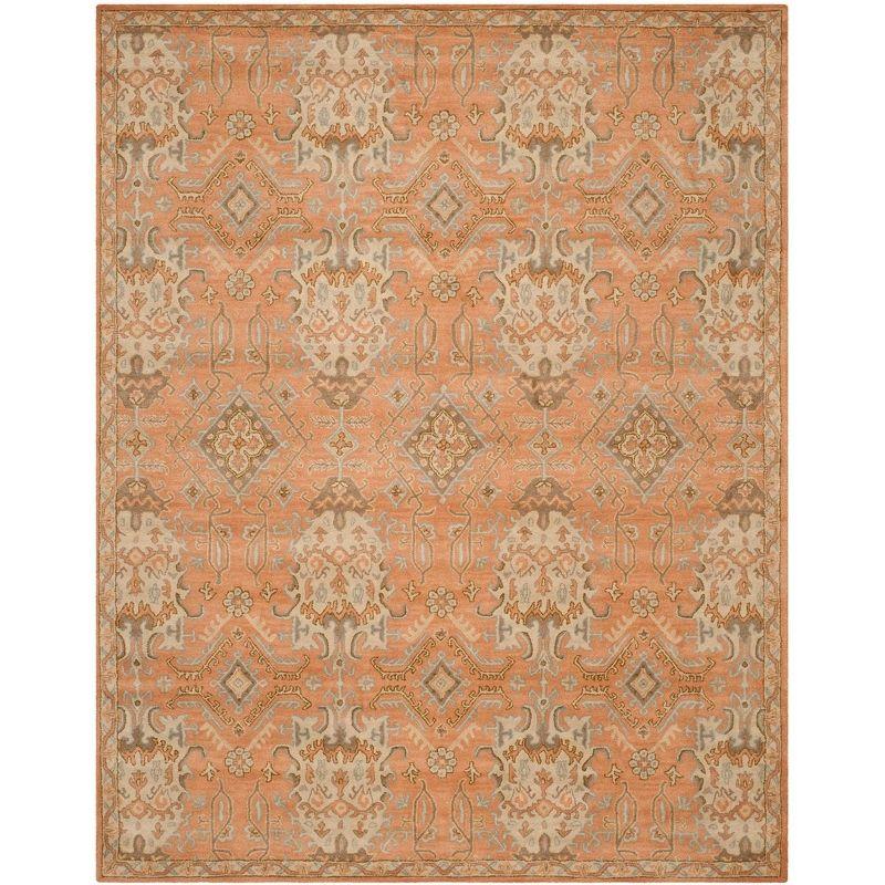 Wyndham WYD203 Hand Tufted Indoor Area Rug - Terracotta - 8'9"x12' - Safavieh.