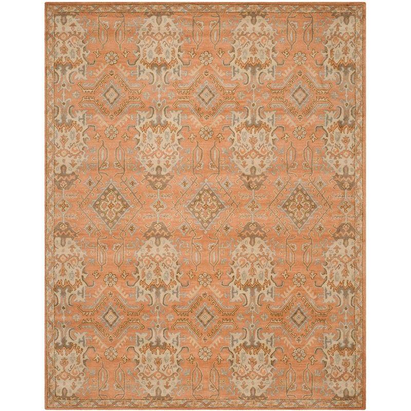 Wyndham WYD203 Hand Tufted Area Rug  - Safavieh