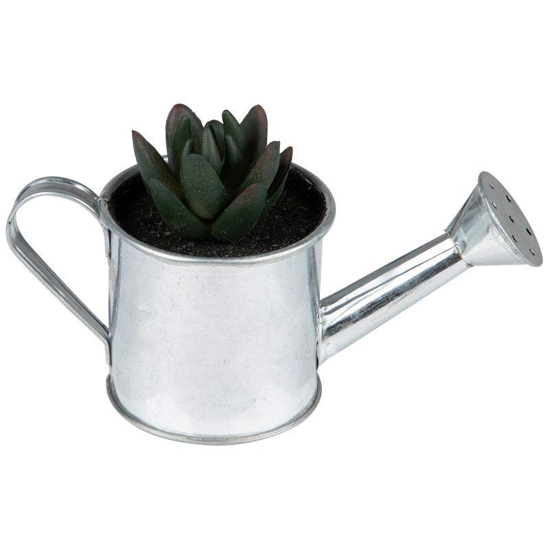 Northlight 4" X Pachyveria Succulent in Water Can Artificial Potted Plant - Green/Silver