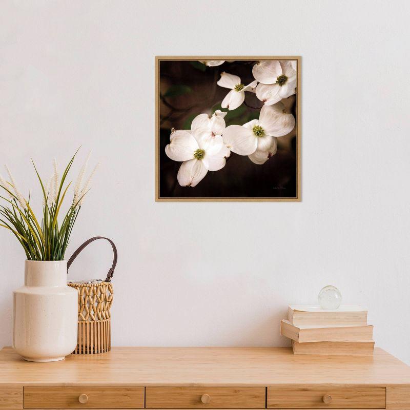 16" x 16" Dogwood Flowers III by Debra Van Swearingen Framed Wall Canvas White - Amanti Art: Modern Botanical Decor, Horizontal Layout