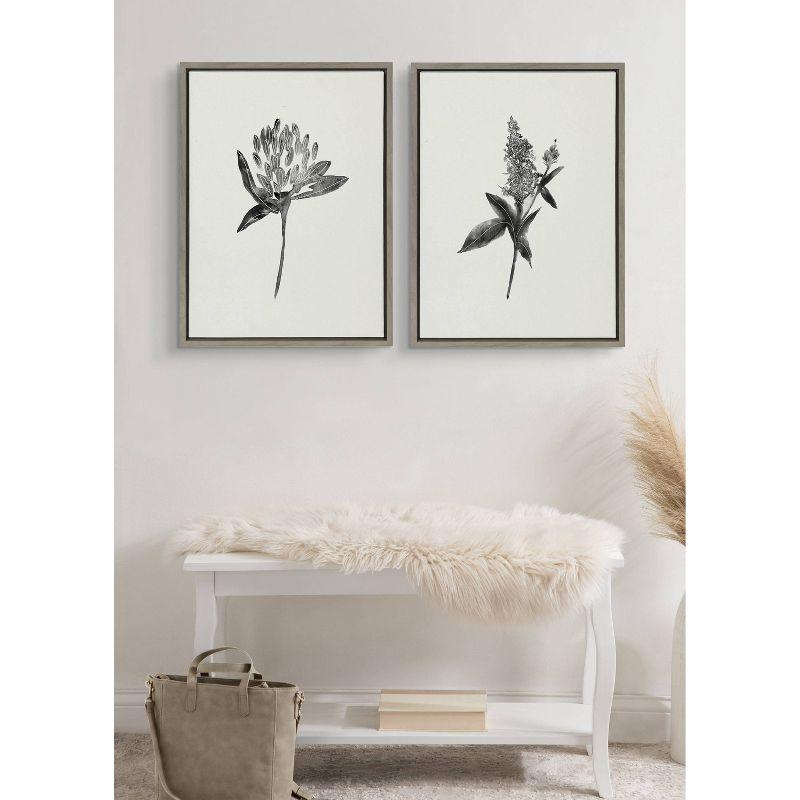 (Set of 2) 18" x 24" Sylvie Vintage Botanical 1 and 2 Framed Canvas - Kate & Laurel All Things Decor