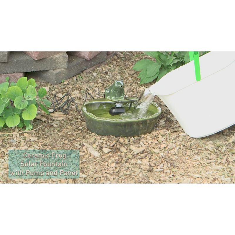 Sunnydaze Outdoor Solar Powered Ceramic Spitting Frog Water Fountain with Submersible Pump - 7" - Green