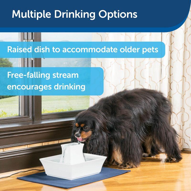 PetSafe® Pagoda Pet Fountain