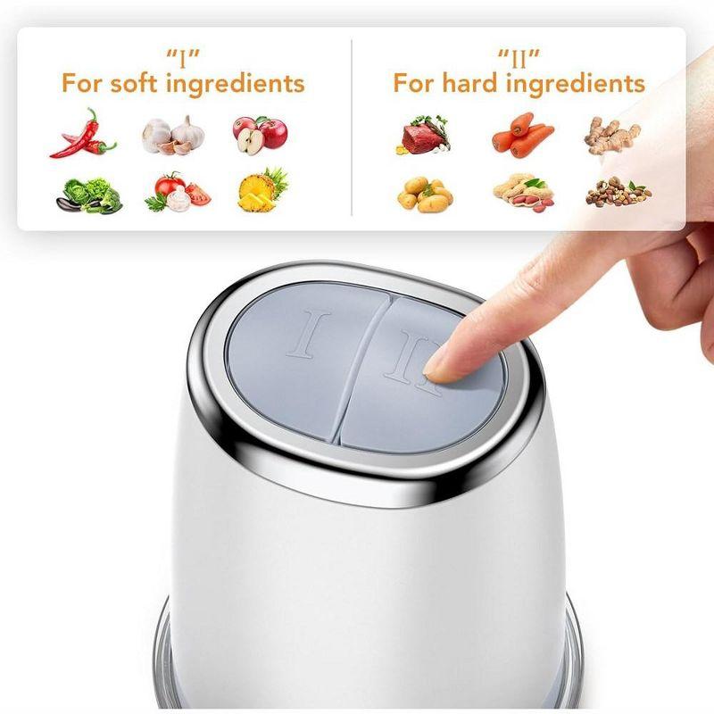 300W Mini Food Processor Electric Food Chopper 2 Speed with 2.5 Cup Glass Bowl