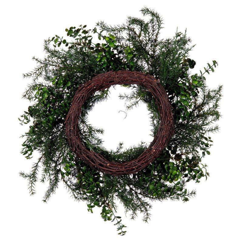 Vickerman 26" Artificial Green Snow Cedar and Eucalyptus Christmas Wreath, Unlit