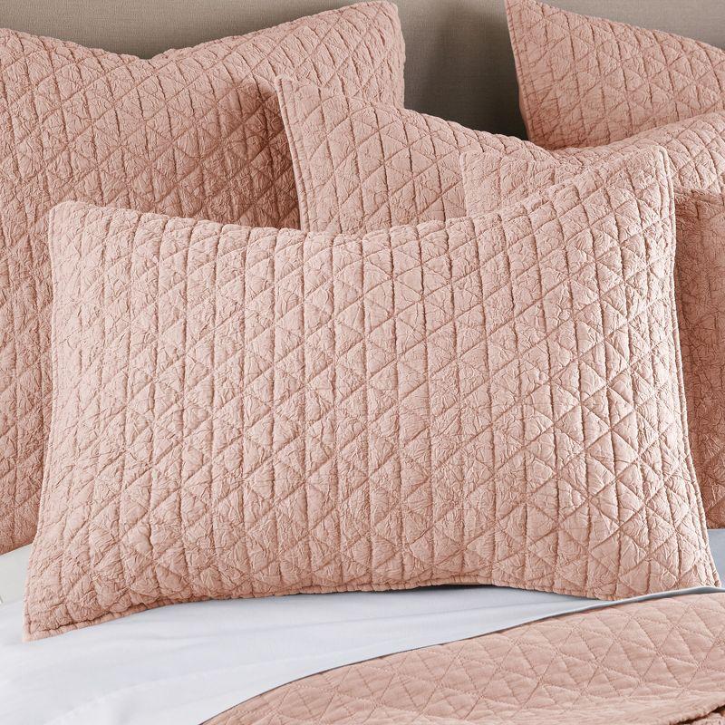 Rowan Blush Twin Quilt Set- HomThreads by Levtex Home