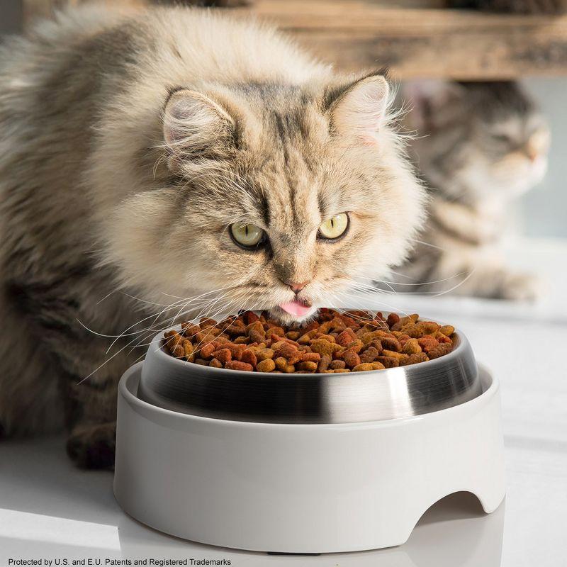 CatGuru Food Table for Cat Bowl, Marshmallow