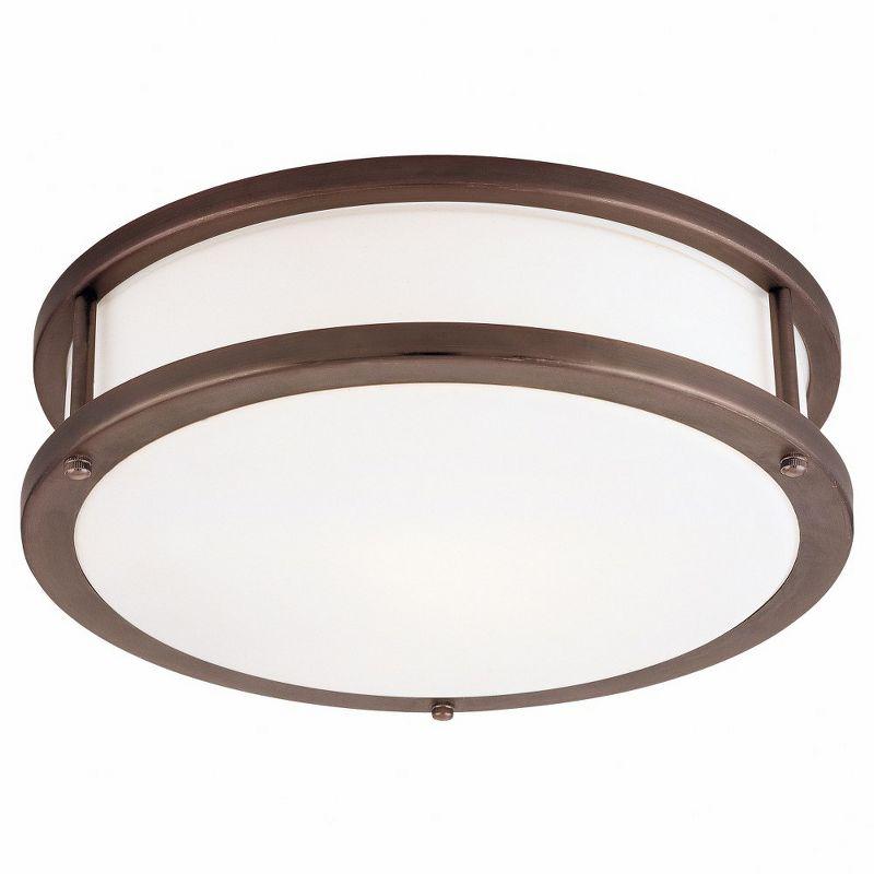 Bronze and Glass 19" LED Flush Mount Light