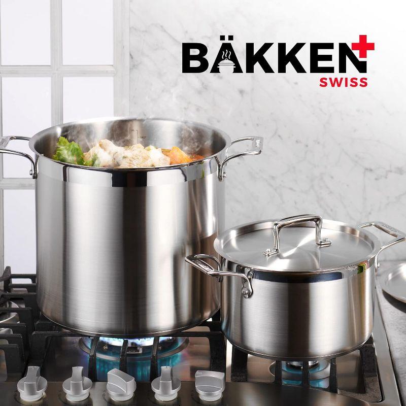 Bakken- Swiss Stockpot Brushed Stainless Steel Induction Pot with Lid and Riveted Handles