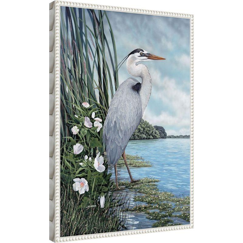 Amanti Art Great Blue Heron by James Harris Framed Canvas Wall Art