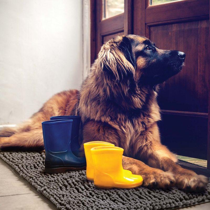 DogBuddy Dog Door Mat, Super Absorbent Doormat, Washable Rugs for Pets, Non-Slip Floor Mats