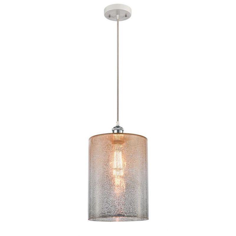 Cobbleskill 1 - Light Single Drop Pendant Pendant