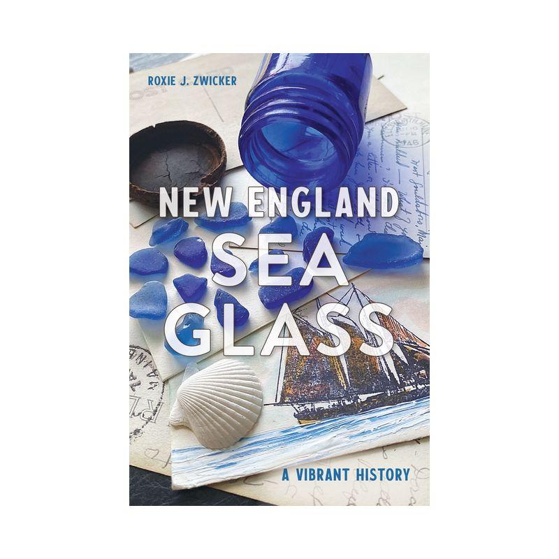 New England Sea Glass - (History & Guide) by  Roxie J Zwicker (Paperback)