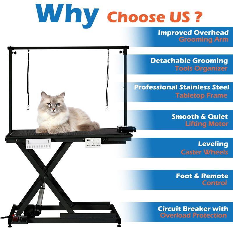 babevy 50'' Electric Dog Grooming Table, Heavy Duty, Height Adjustable Pet Grooming Table | Wayfair