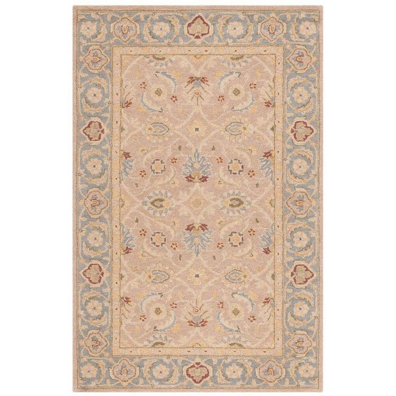 Anatolia AN549 Hand Tufted Area Rug  - Safavieh