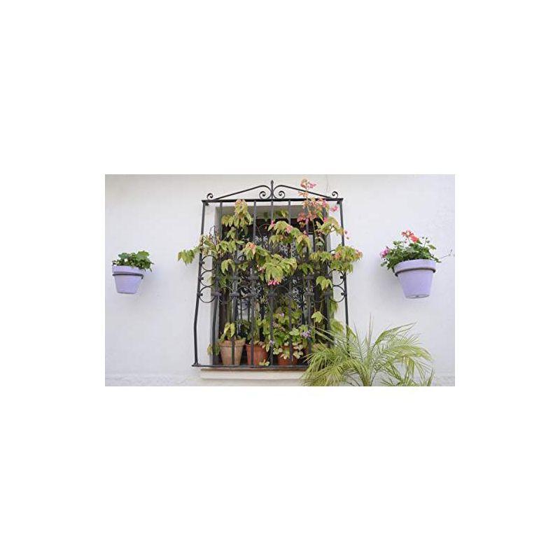 Darware 4in Metal Wall Ring Planters w/ Pots 4pk, Wall Mounted Clay Pots w/ Holders for Plants and Flowers