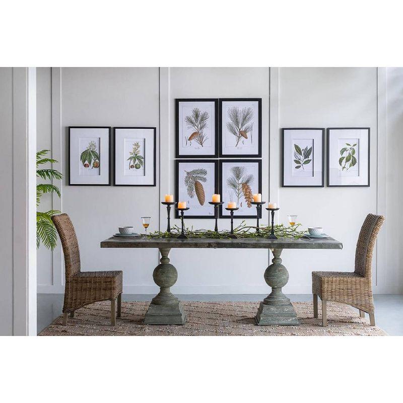 Set of 2 Smithsonian Fruit Framed Wall Arts - A&B Home: Transitional Decor, Vertical Orientation, Includes Mounting Hardware