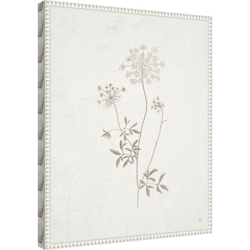 Amanti Art Plants from the Meadow III by Sarah Adams Canvas Wall Art Print Framed 16 x 20-in.