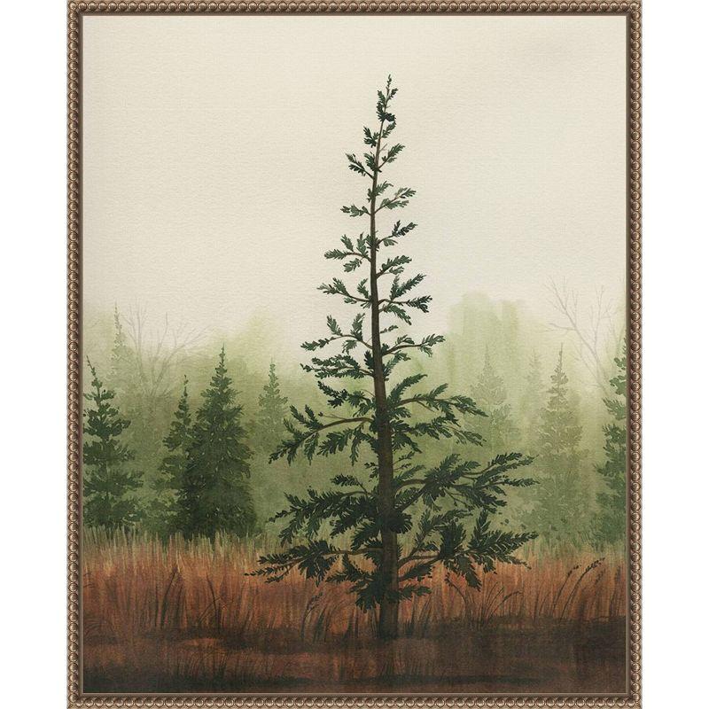 Amanti Art Young Evergreen II by Grace Popp Framed Canvas Wall Art Print