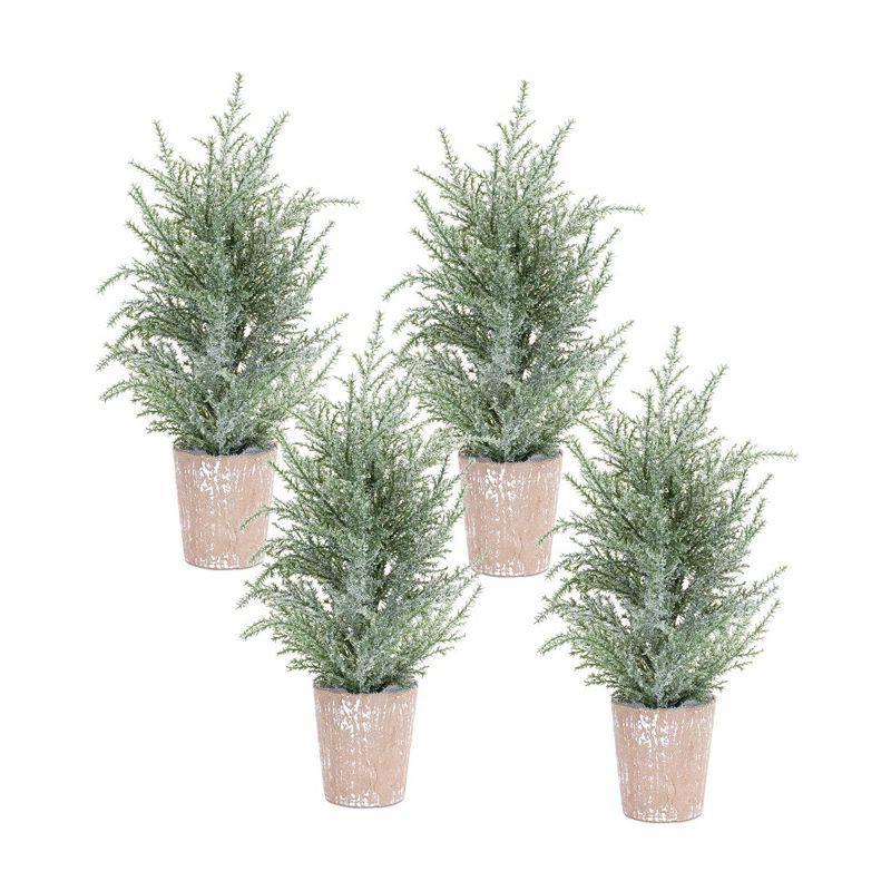 Frosted Potted Pine Tabletop Christmas Trees with Lights, Set of 4