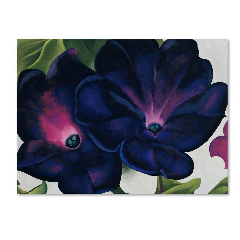 Georgia O'Keefe Black and Purple Petunias Canvas Wall Art