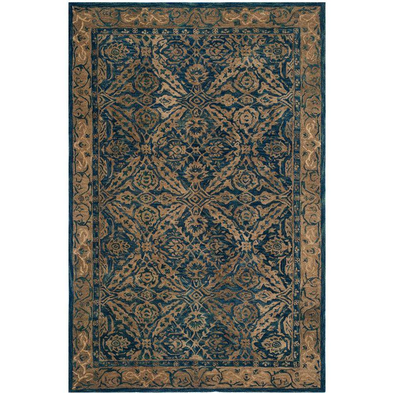 Anatolia AN583 Hand Tufted Area Rug  - Safavieh