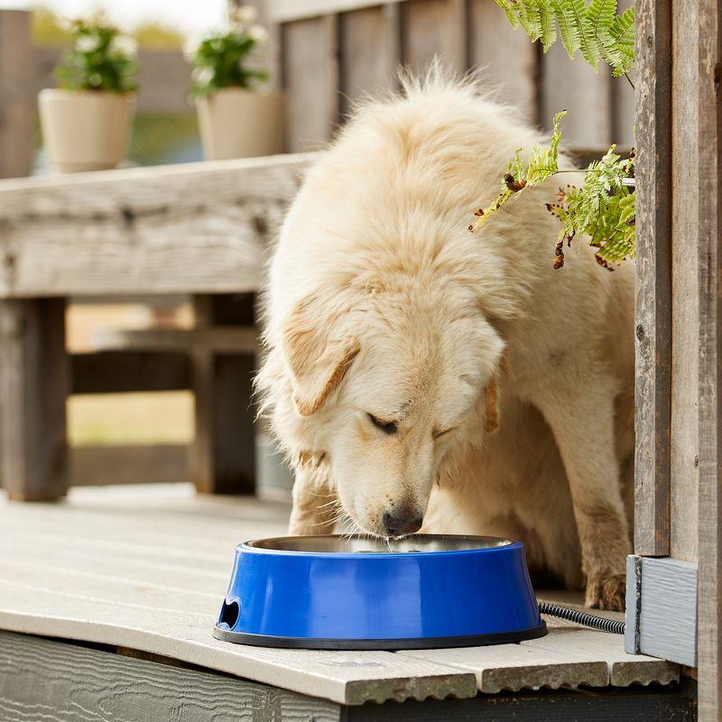 Farm Innovators SB-40 Signature Series 3 Quart Electric Heated Pet Water Bowl with Stainless Steel Insert, Thermostatic Control, 40 Watt