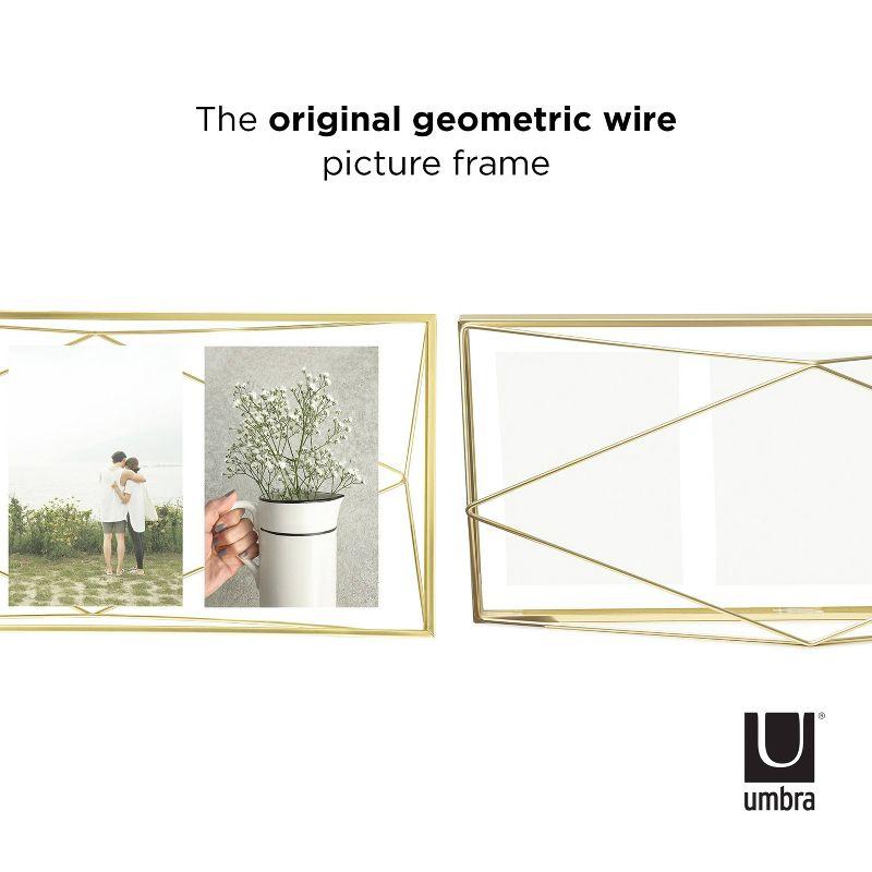 Umbra Prisma Metal Floater Picture Frame