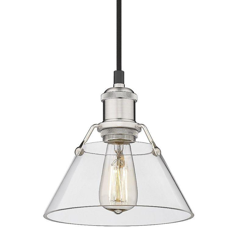 Golden Lighting Orwell 1-Light Mini Pendant in Pewter with Clear Glass