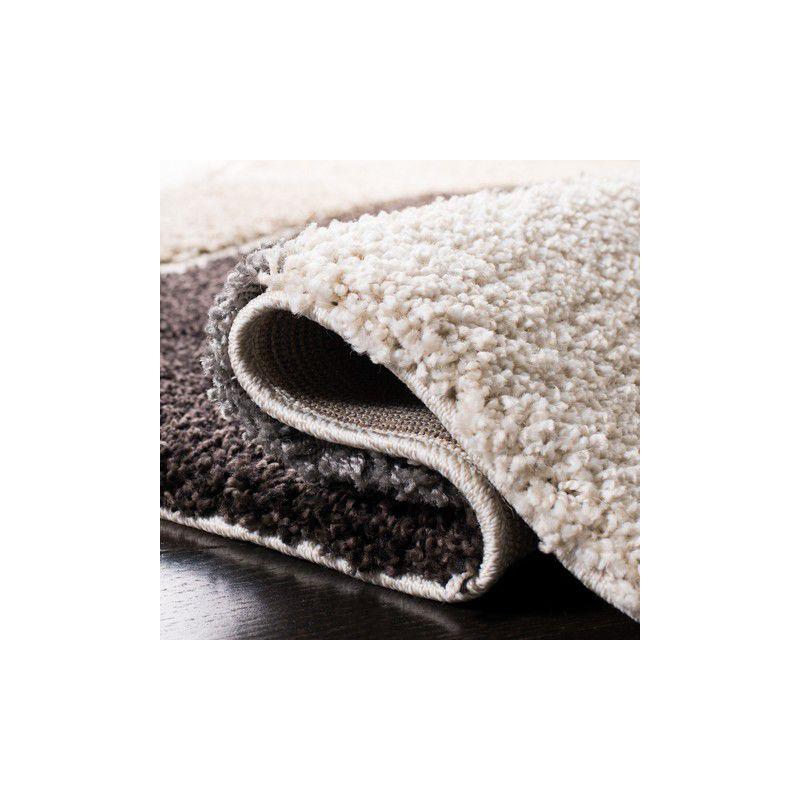 Florida Shag SG475 Power Loomed Indoor Area Rug - Ivory/Grey - 8'x10' - Safavieh